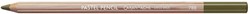 caran d'ache pastelpotlood olive brown
