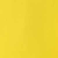 WN designers gouache cadmium lemon