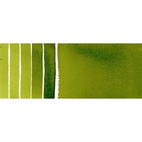 Daniel Smith aquarel sap green - tube 5 ml.