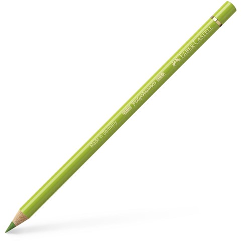 Polychromos kleurpotlood meigroen