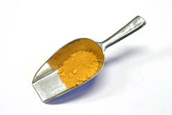 Verfmolen de kat pigment - geel oker JCLES - 100 gram
