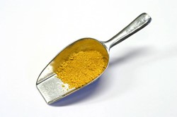 Verfmolen de kat pigment - gele aarde - 100 gram