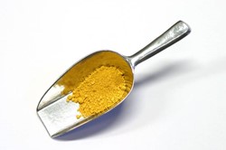 Verfmolen de kat pigment - goud oker - 100 gram
