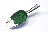 Verfmolen de kat pigment - bosch groen - 100 gram
