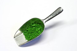 Verfmolen de kat pigment - chroomoxyd groen - 100 gram