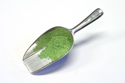 Verfmolen de kat pigment - groene aarde (italiaans) - 100 gram