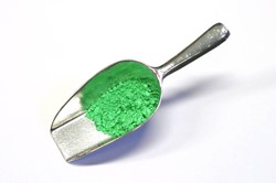 Verfmolen de kat pigment - kalk groen - 100 gram