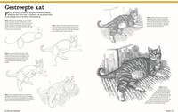 Het grote tekenboek -3