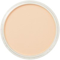 PanPastel - orange tint