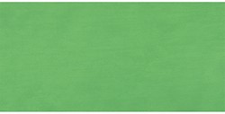 lukas cryl Terzia chromaatgroen licht - flacon 500 ml.