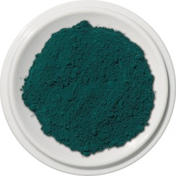 MB fine art pigment dennengroen - 200 ml.