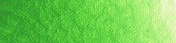 New Masters acryl old holland green light - tube 60 ml.