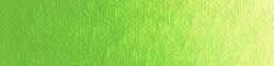 New Masters acryl old holland yellow-green - tube 60 ml.