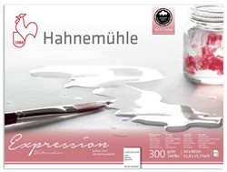 Hahnemuhle aquarelblok expression 300 grs.