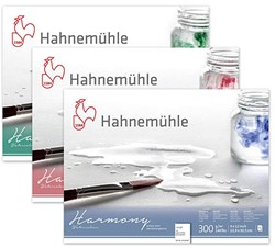 Hahnemühle Harmony aquarelbloks 300 grs.