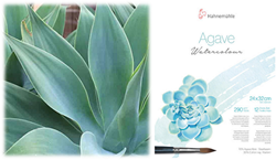 Agave aquarelbloks