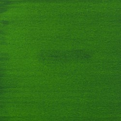 Peacock notenbolster - groen getint - flacon 60 gram 