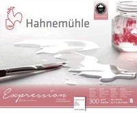 Hahnemuhle aquarelblok expression mat 300 grams 24x30 cm. - 20 vel