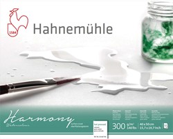 Hahnemühle harmony aquarelblok satiné 300 grams 24x30 cm. - 12 vel