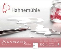 Hahnemühle harmony aquarelblok mat 300 grams 24x30 cm. - 12 vel
