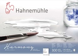 Hahnemühle harmony aquarelblok rough / ruw 300 grams 24x30 cm. - 12 vel