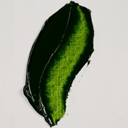 rembrandt olieverf sapgroen - tube 15 ml